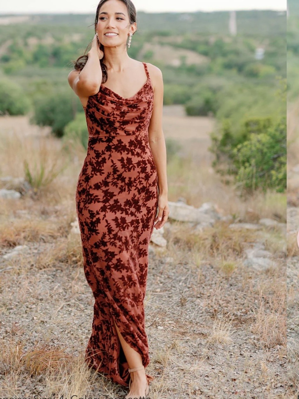 Revelry Skye Floral Burnout Velvet Dress terocatta